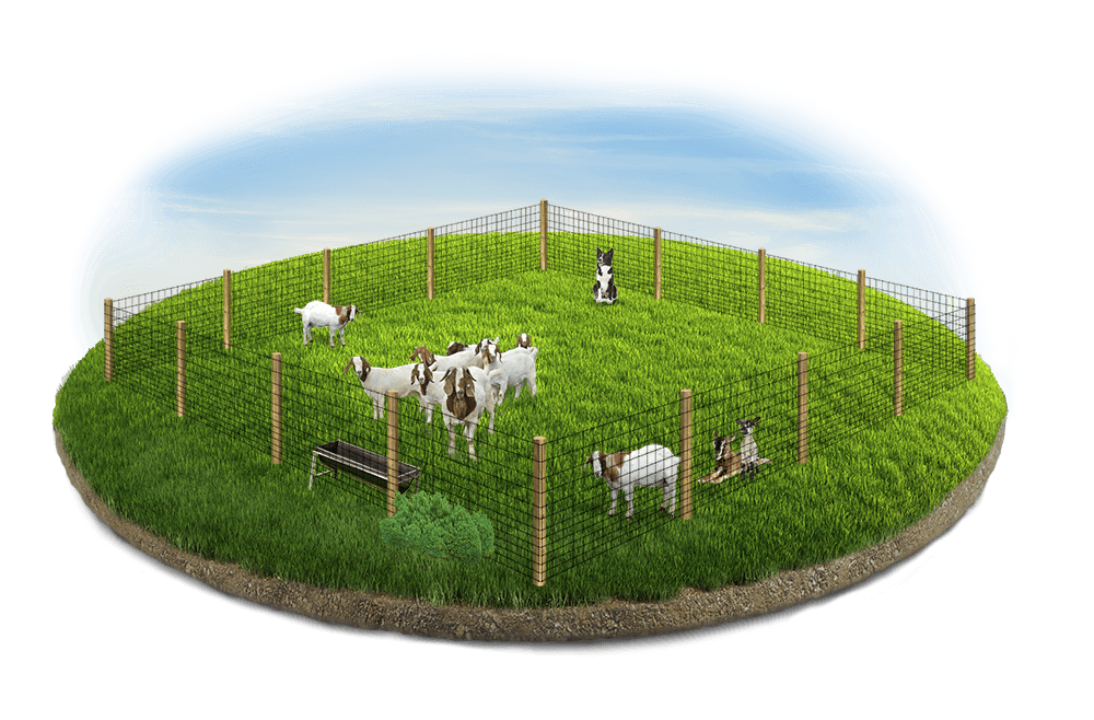 Farm Fence Contractor in Sarasota